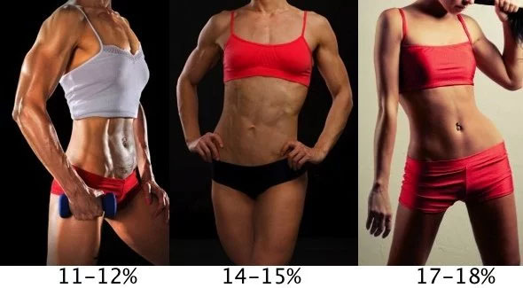 female body fat percentages