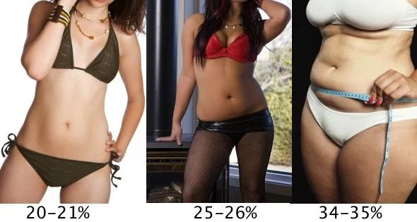 female body fat percentages