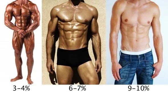 male body fat percentages