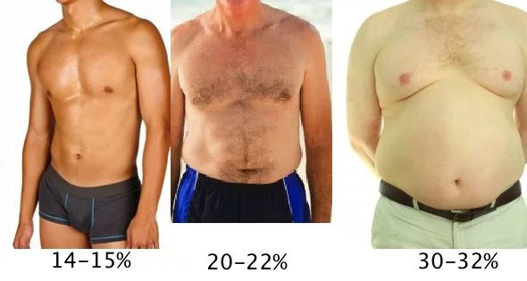 male body fat percentages